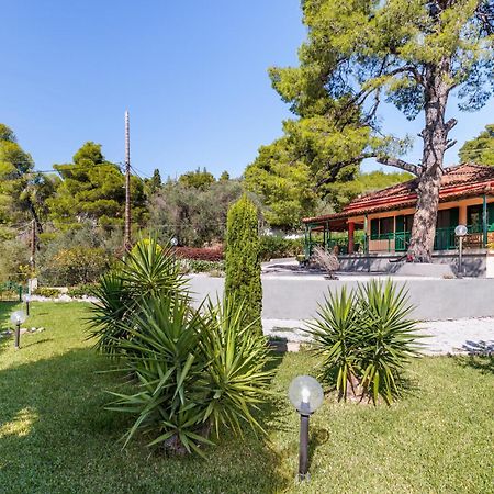 Skopelos Country House Diamantis & Chrisi Agnontas Bagian luar foto
