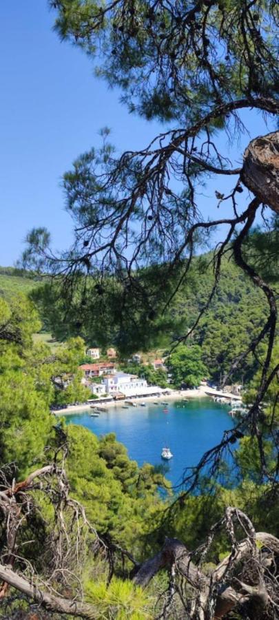 Skopelos Country House Diamantis & Chrisi Agnontas Bagian luar foto